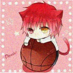 读者头像 深夜追番的猫